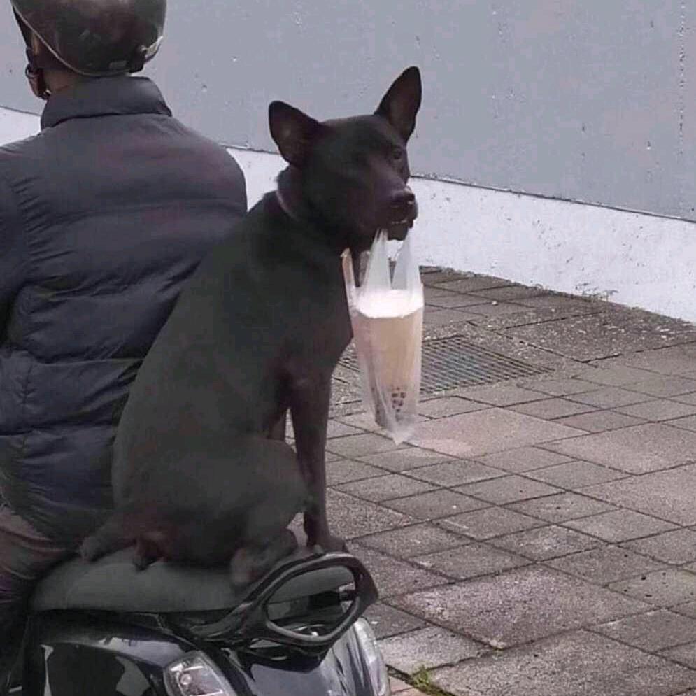 是大林