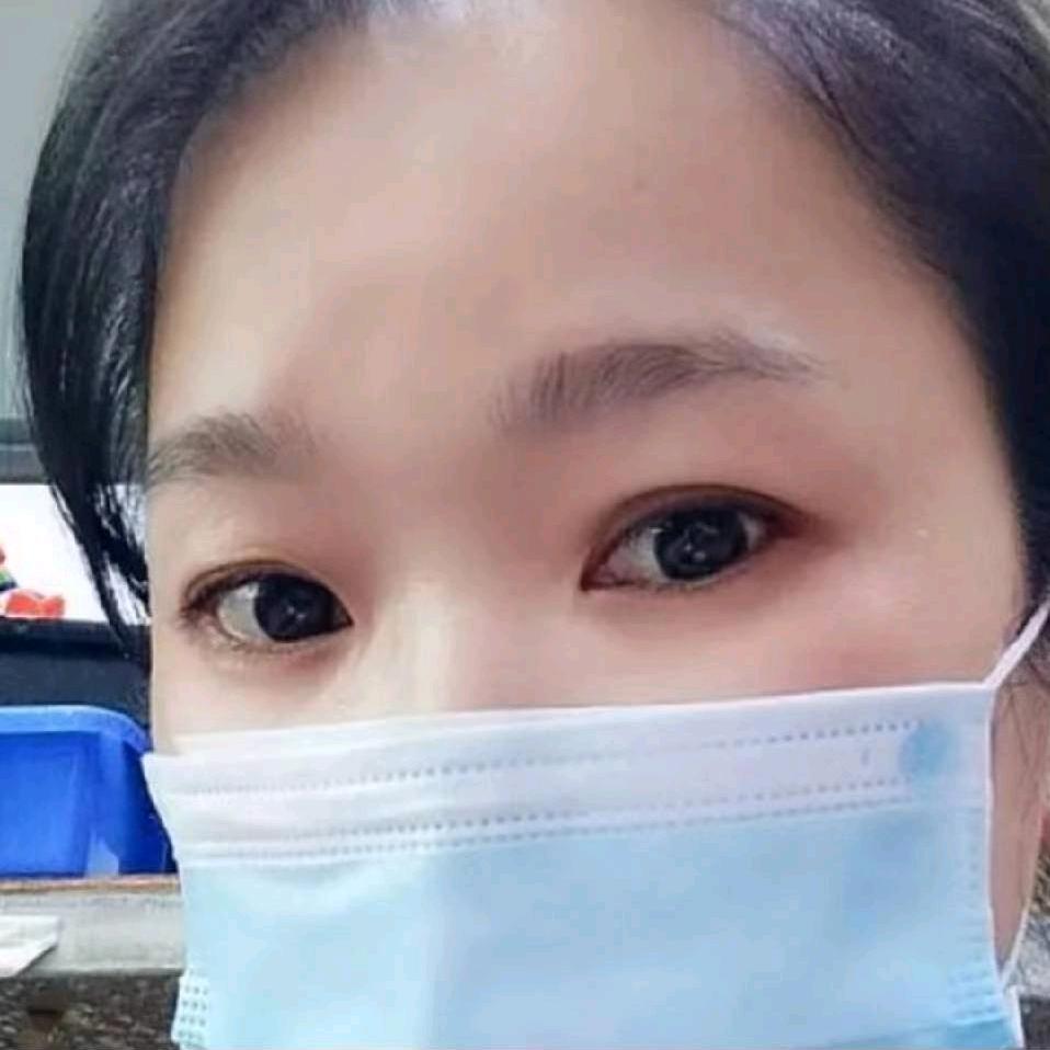 鳳許燕安头像