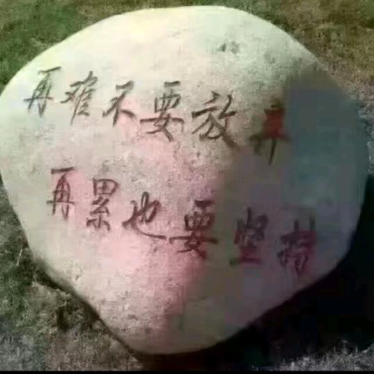 山东黄绣石