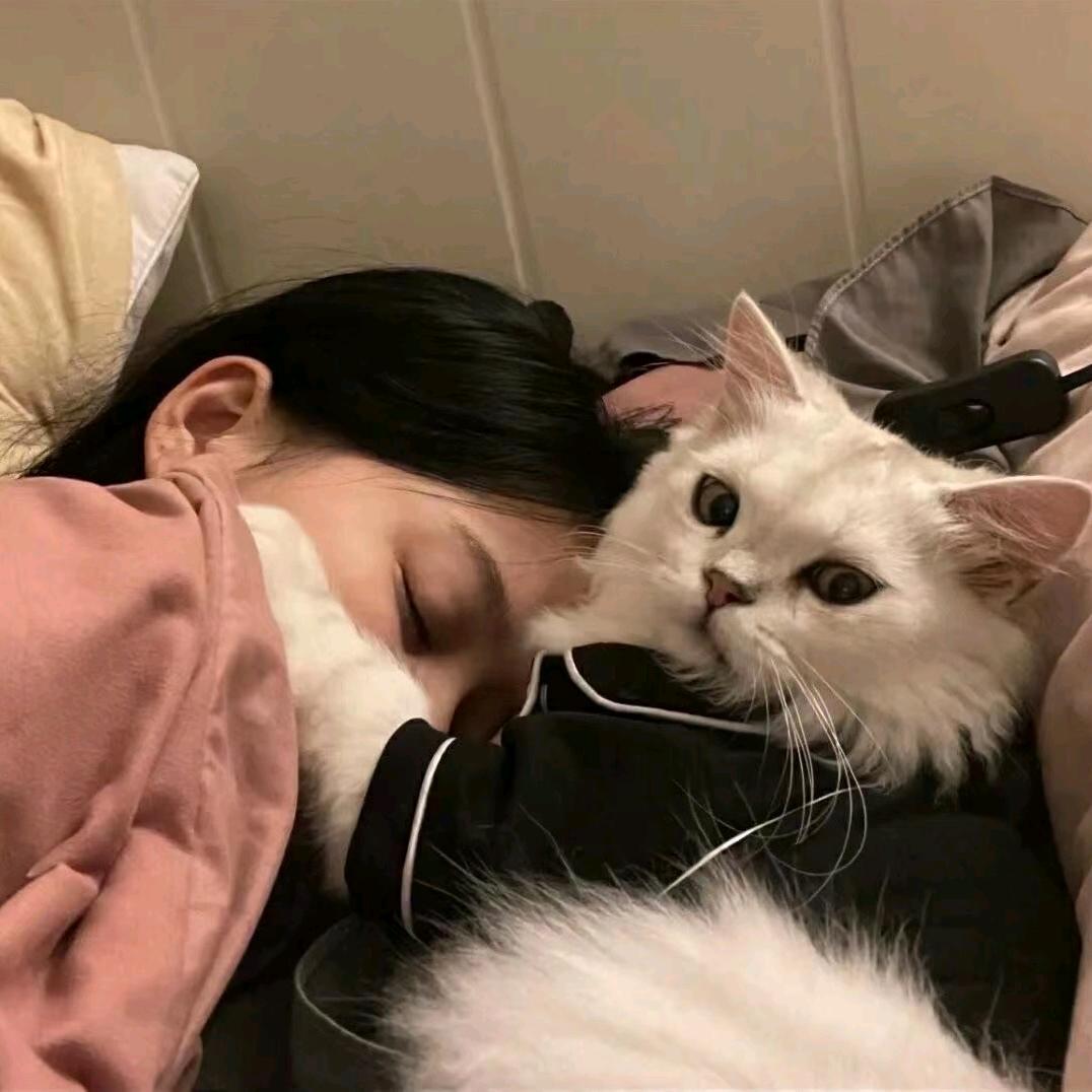 是张同学（顺利毕业版）