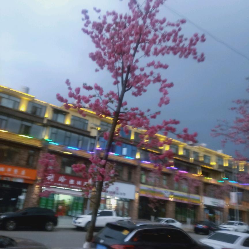 烟中有毒