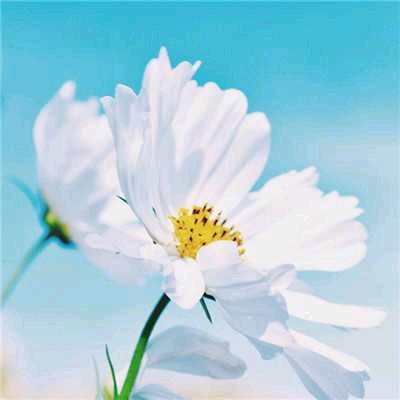 惠必选生鲜超市