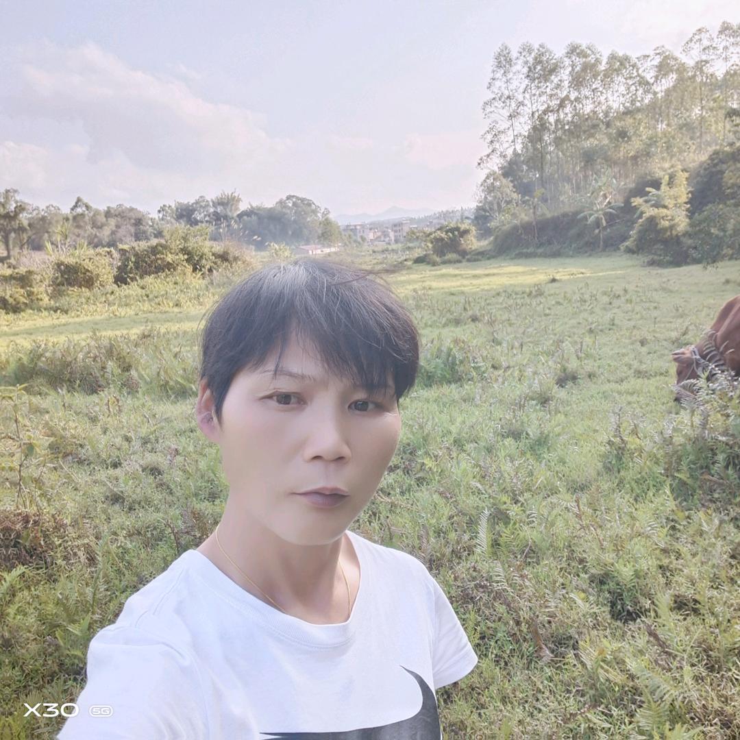 放下也好至少我们不负相见但愿你能过的好