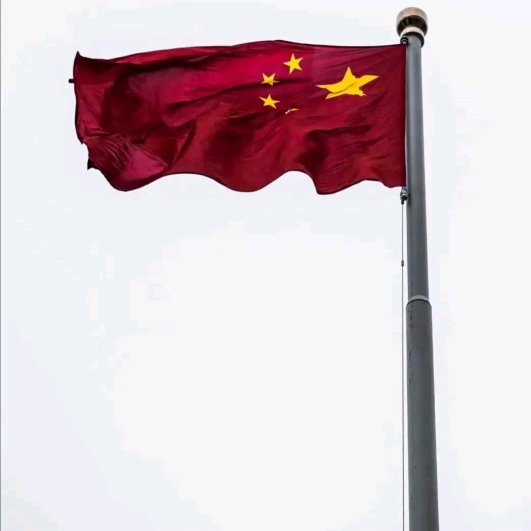 Qin M Yao