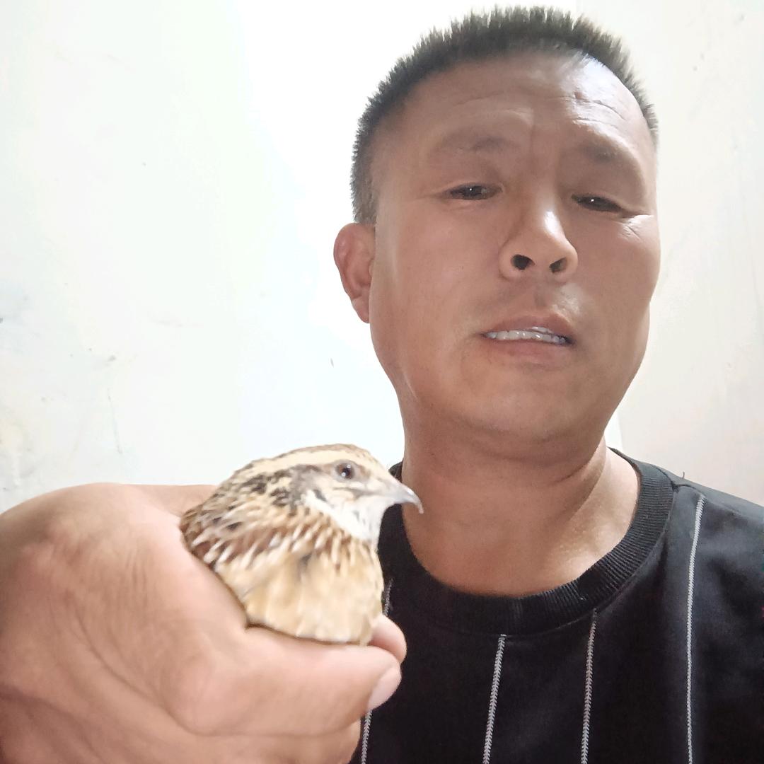 在亳州卖水果想吃水果联系我