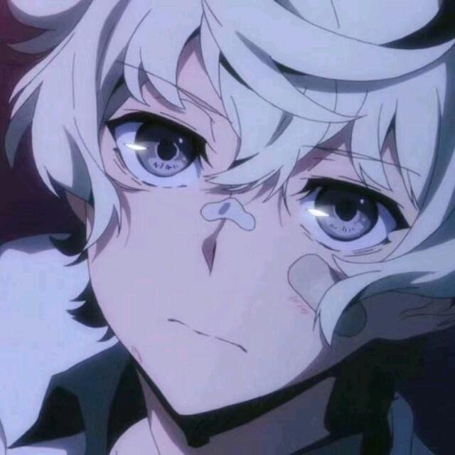 爱甜的狗