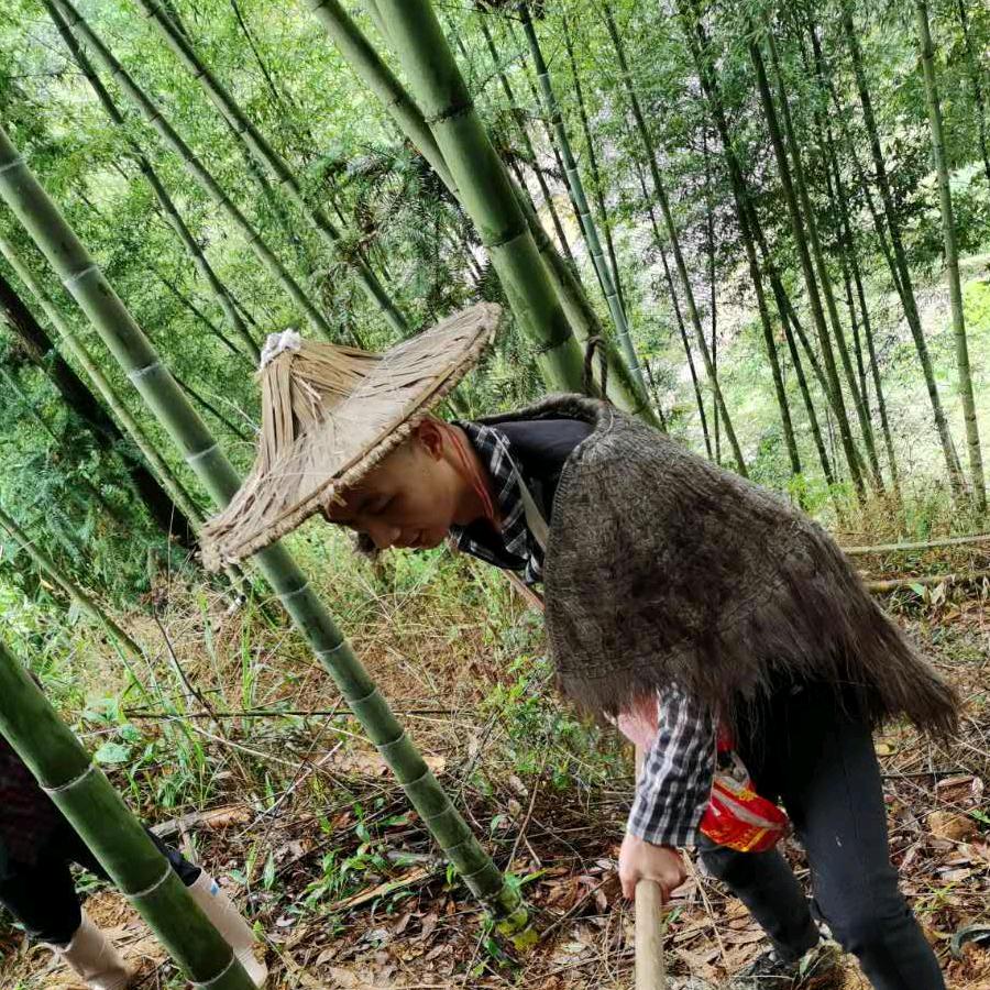 远古山夫漳州乐思味商贸有限公司食品专卖店