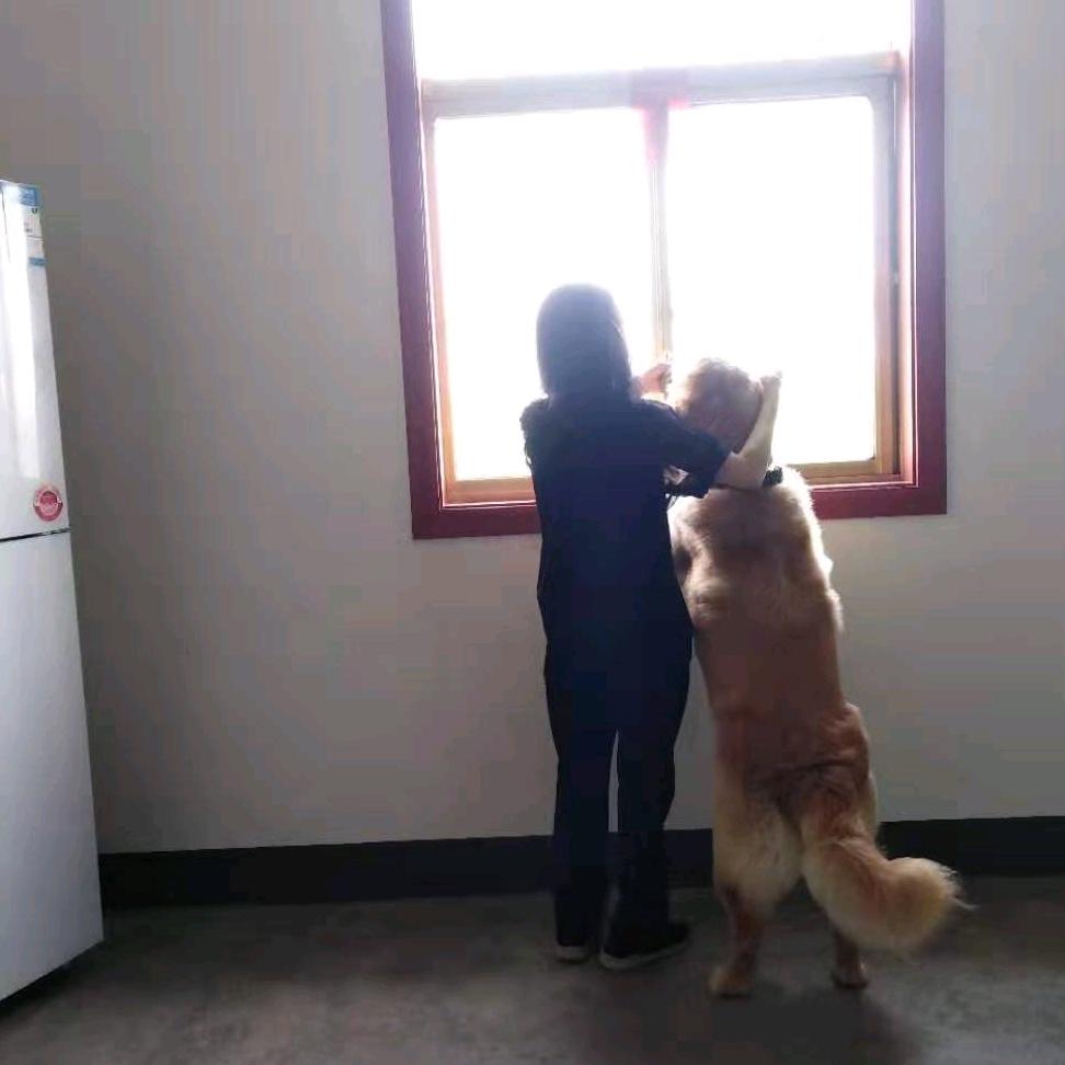 快乐靠自己自🌹🐕