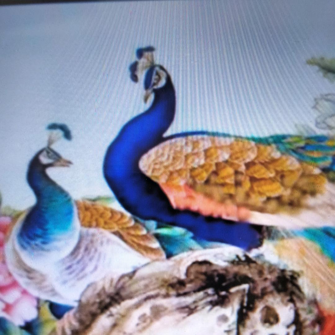刘姐