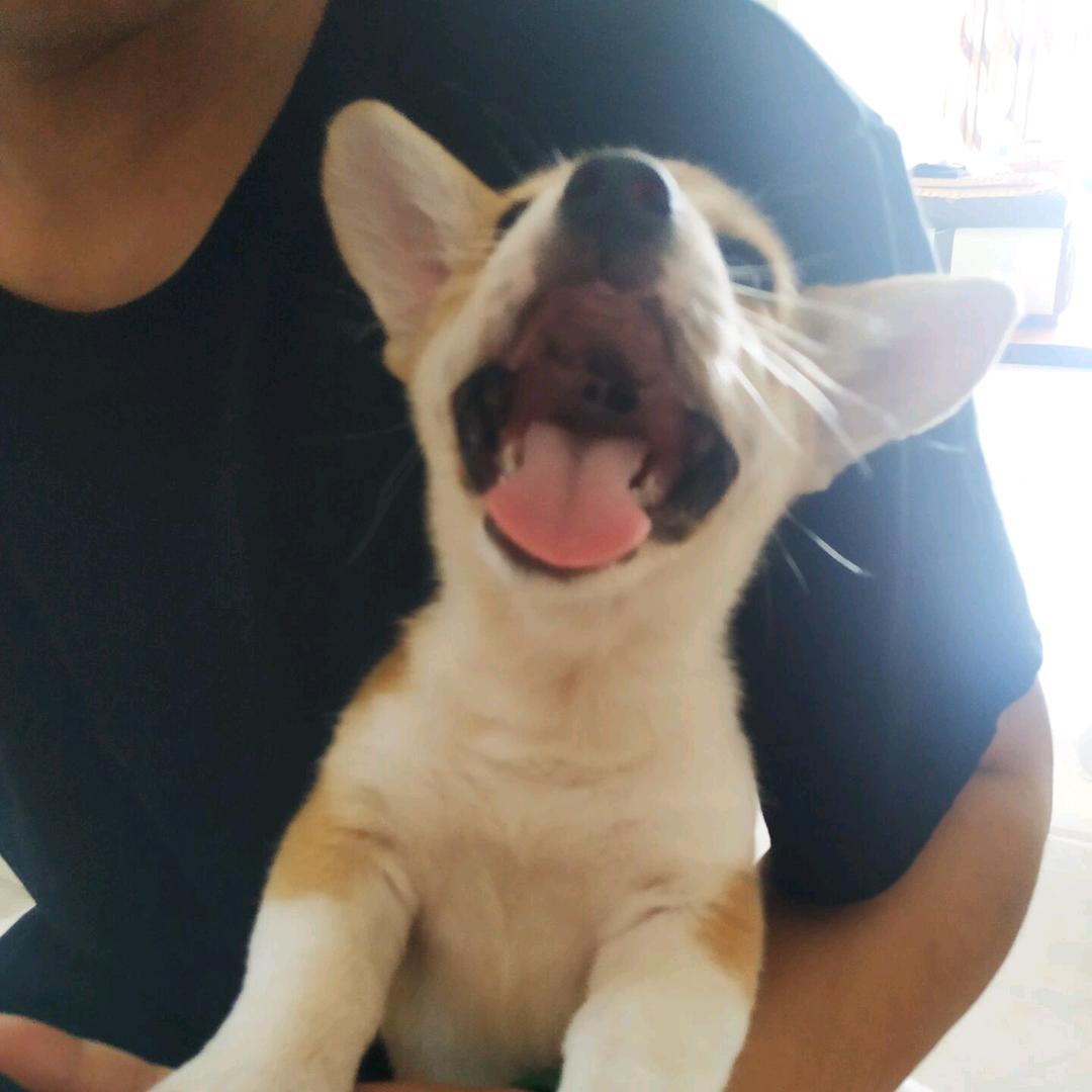 符三水