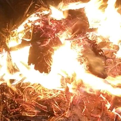 𓀚𓀚𓀚𓀚𓀚𓀚𓀚𓀚𓀚𓀚