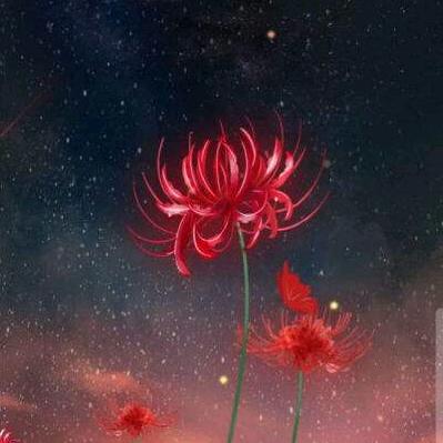 彼岸花开忆流年