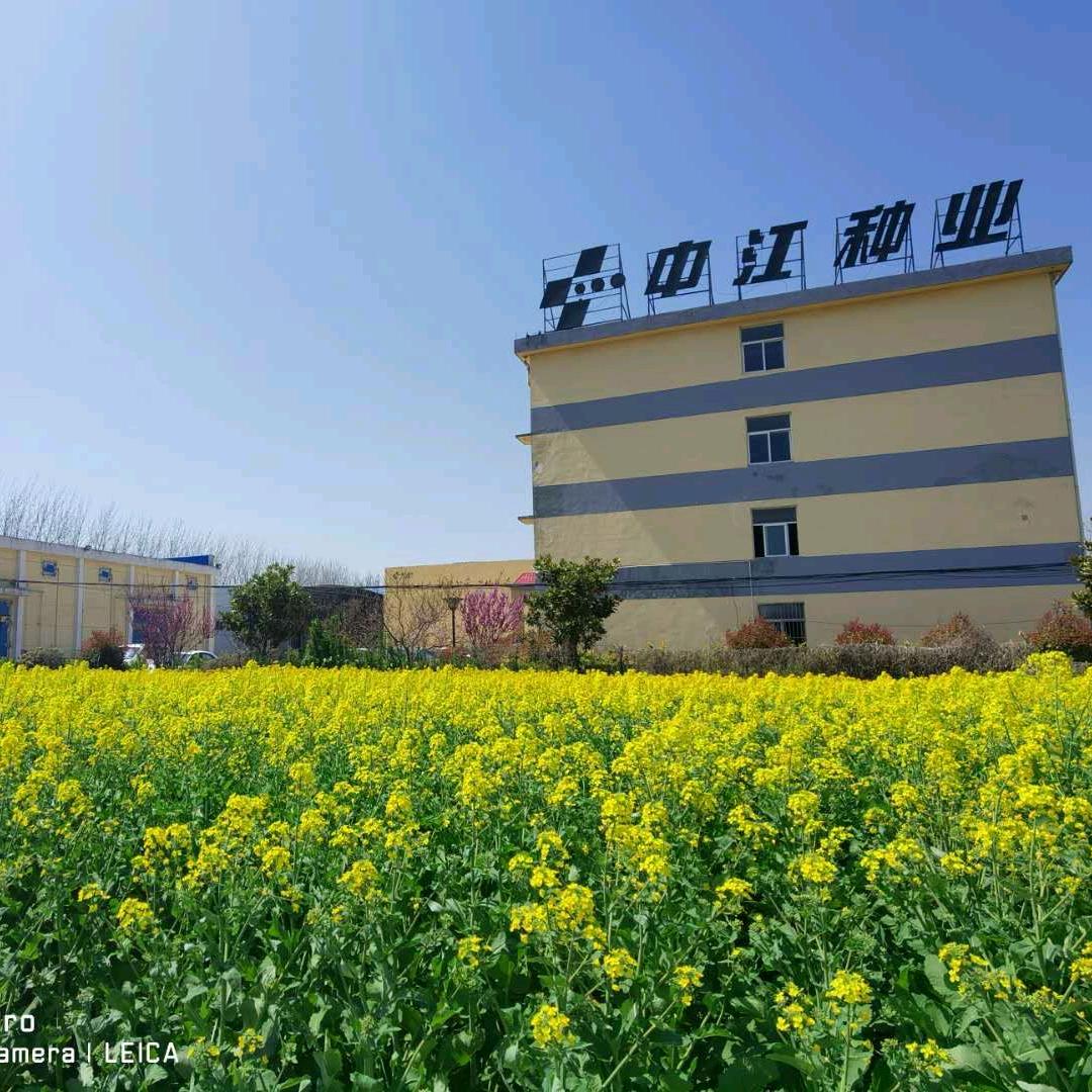 中江种业单友谊