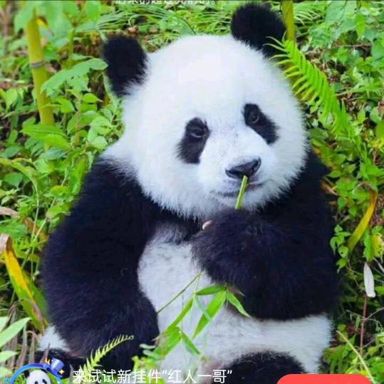 喜怒哀乐悲欢离合