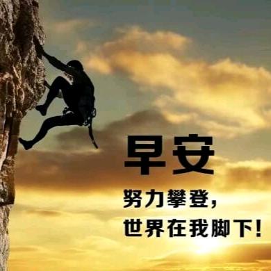 🐟🐟嘉鸿（九鹏）防水☘☘