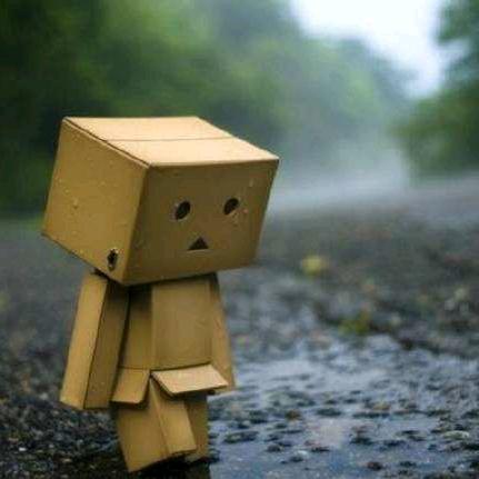 刘筱强（自贡国投集团灯会设计总监）