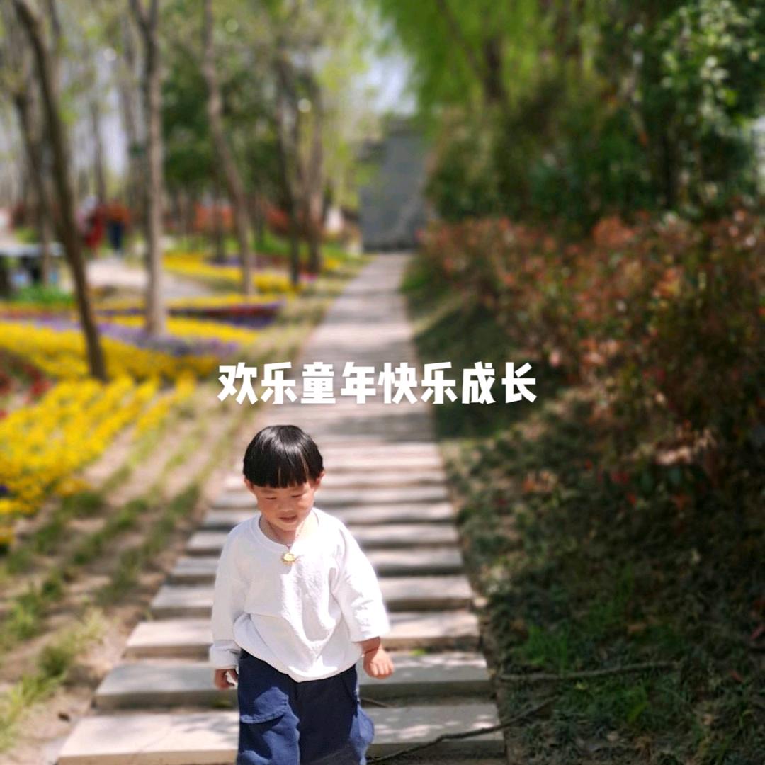 洪山游泳馆