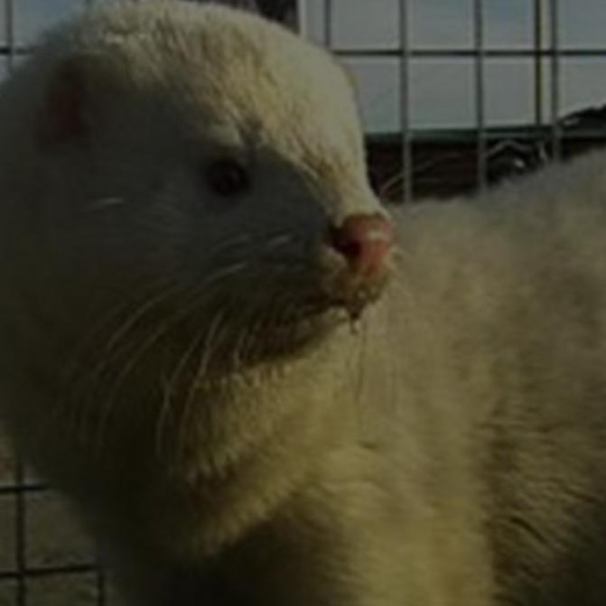 只欠你一句！我爱你