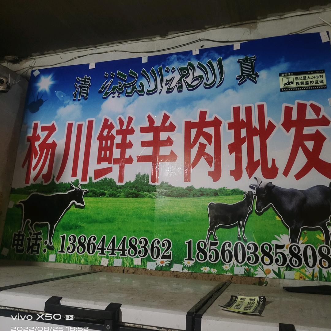 杨川鲜羊肉大量批发