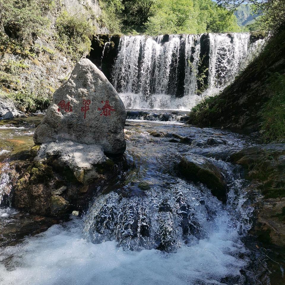 青海牧场鲜品牛羊肉