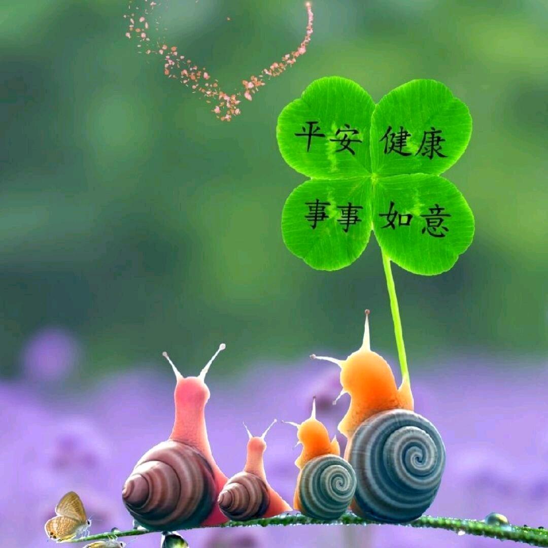 蓝天🇨🇳