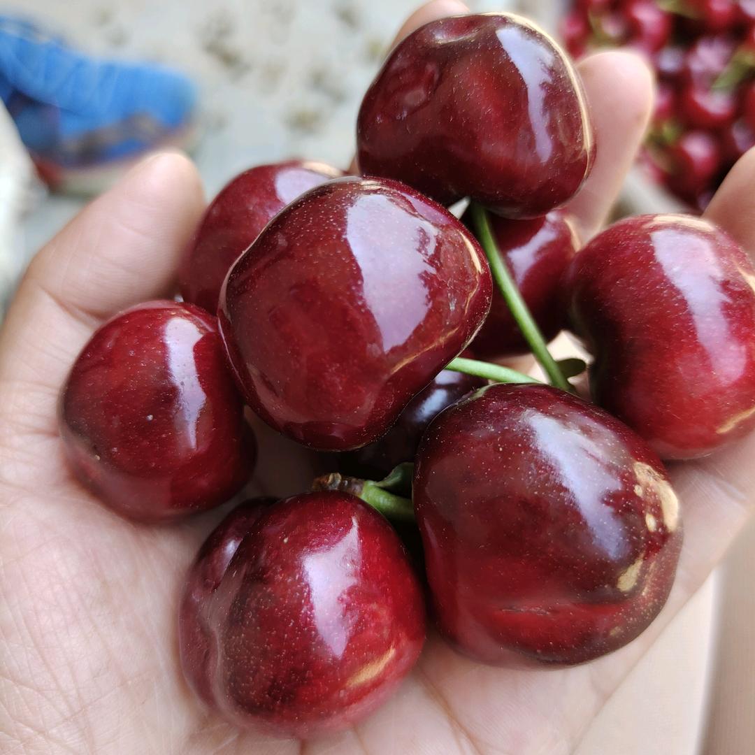桃孃（汉源车厘子、花椒）