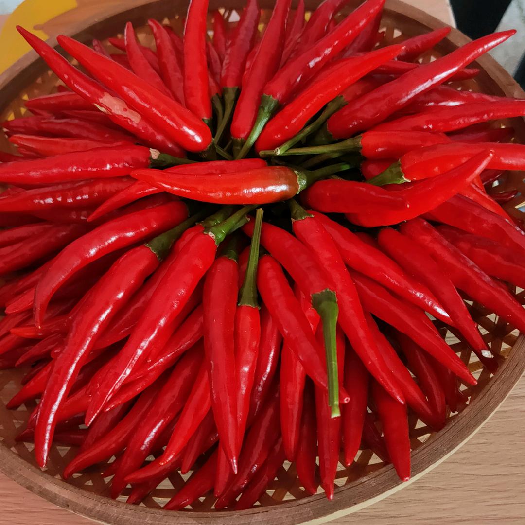 晨景泰禾，王建文