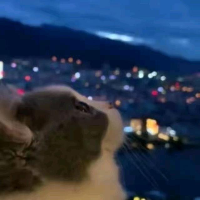 一起看海