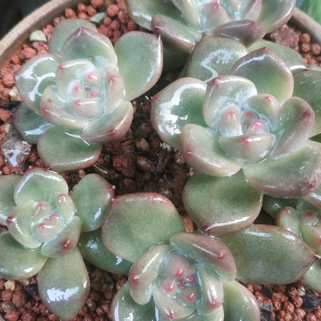 坚持