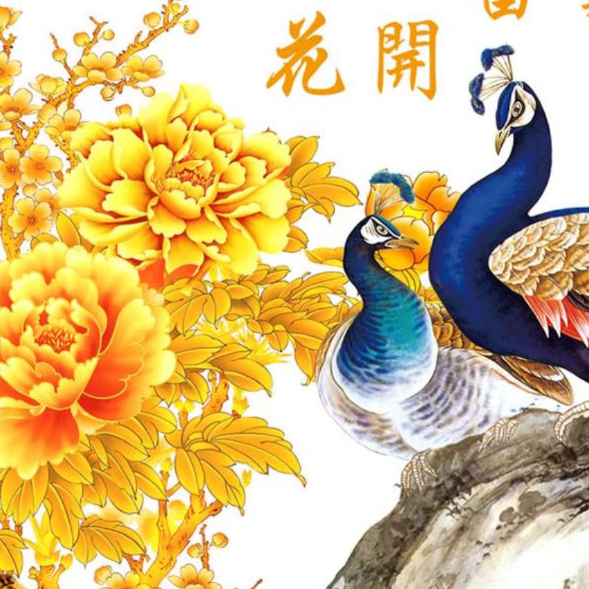 谢宛芸