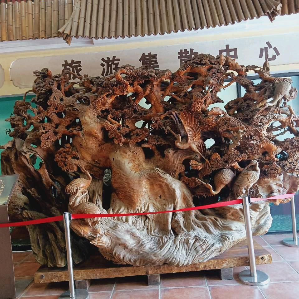 guangxi51186