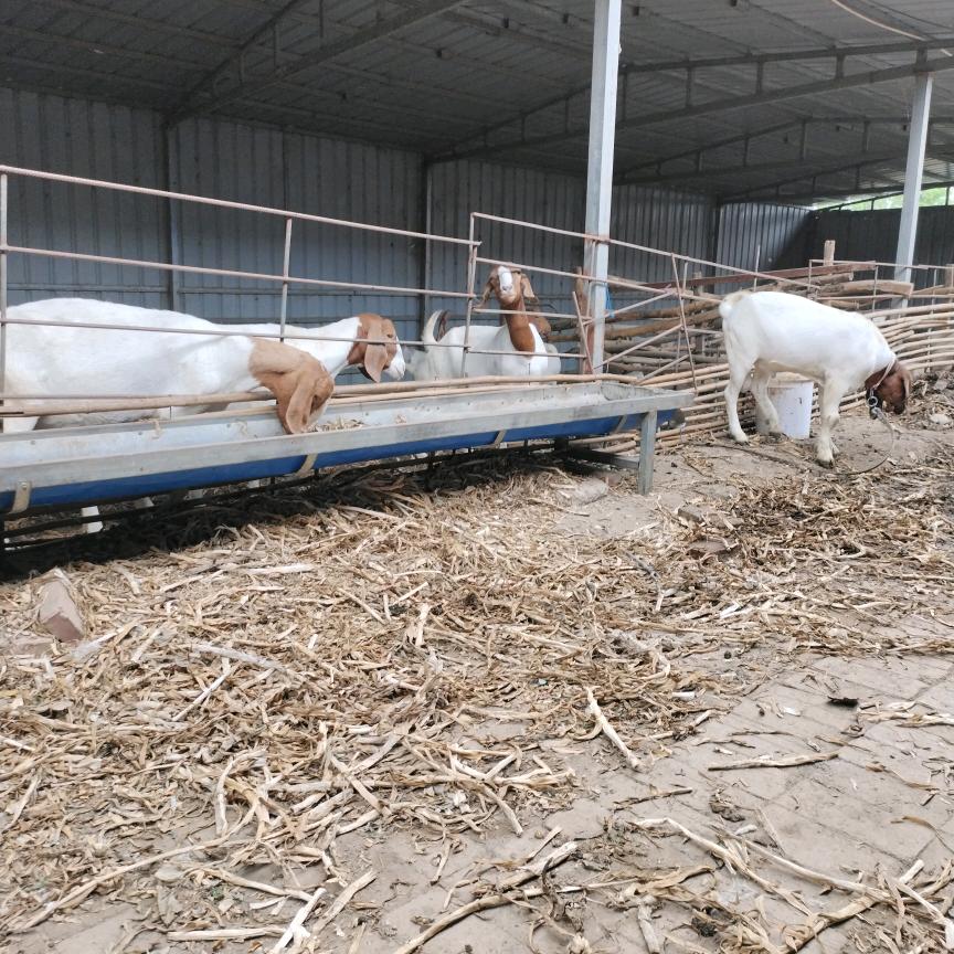 开心快乐每一天