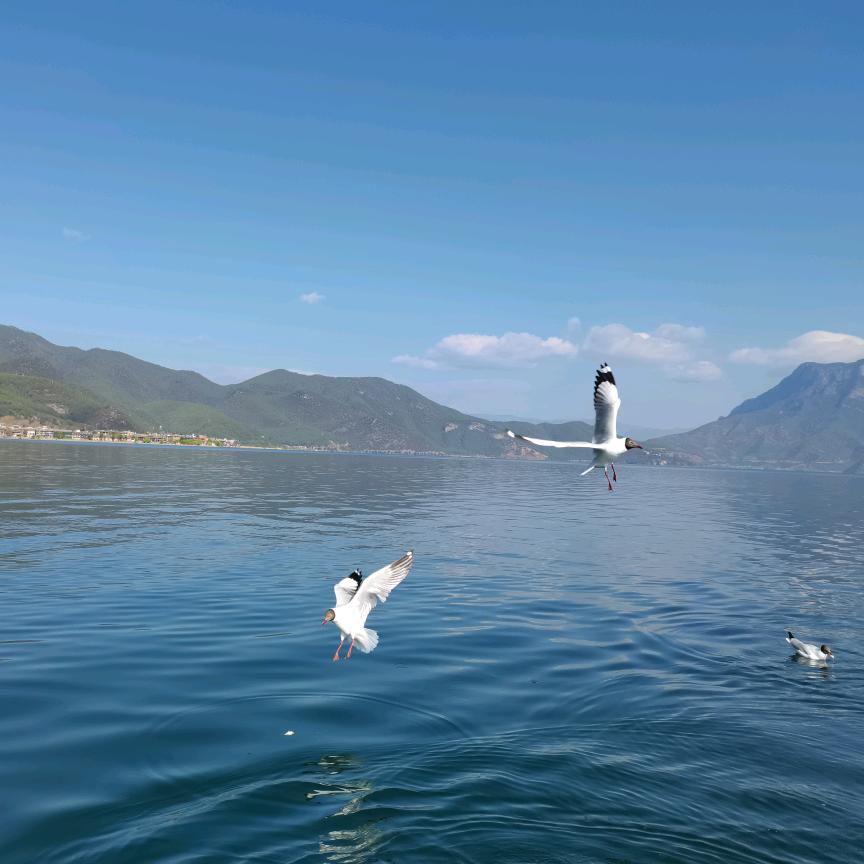 楚国文化@_@蓝邦油墨