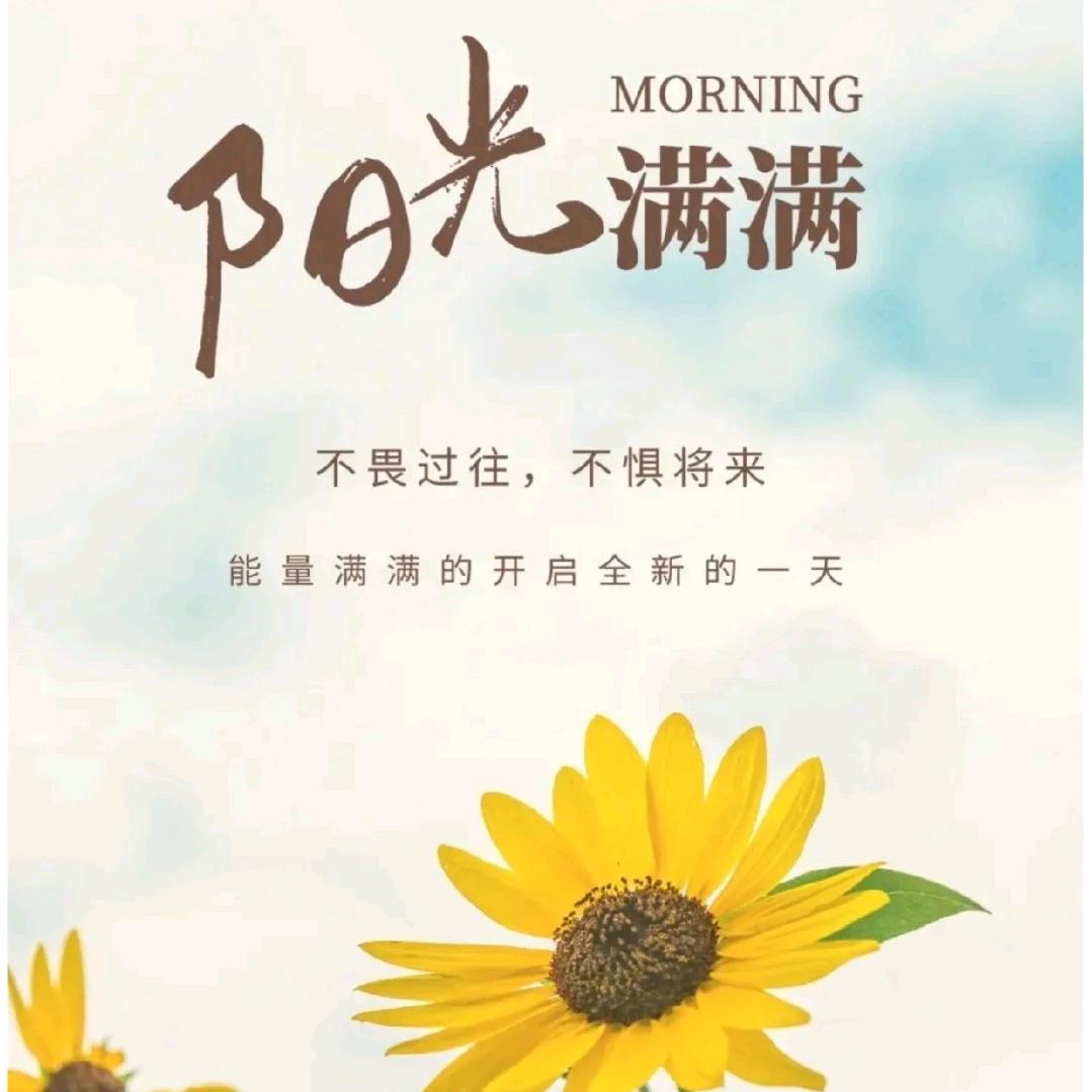 园园—西贝