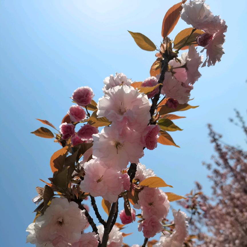 若我就是我