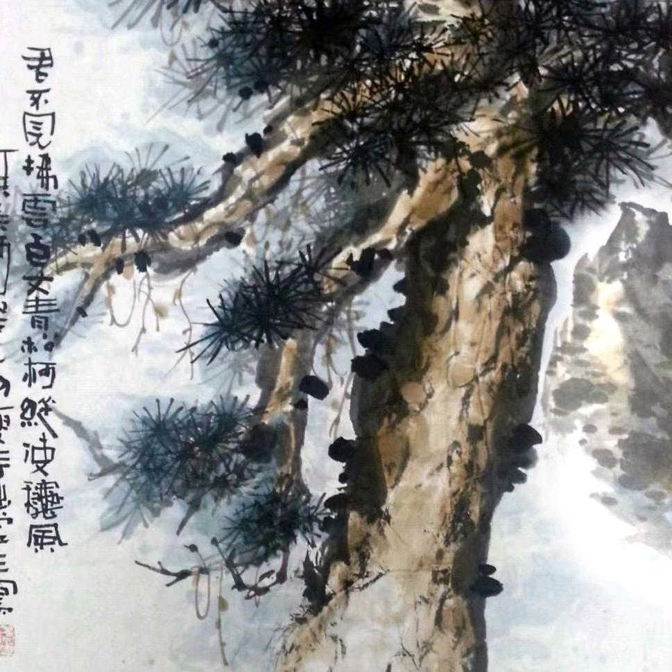 美秀优选