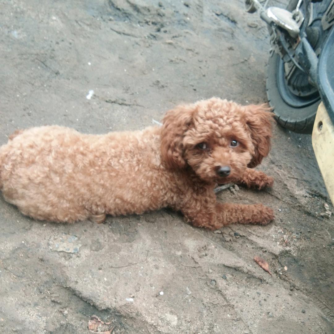 用户1648203609123面对现实