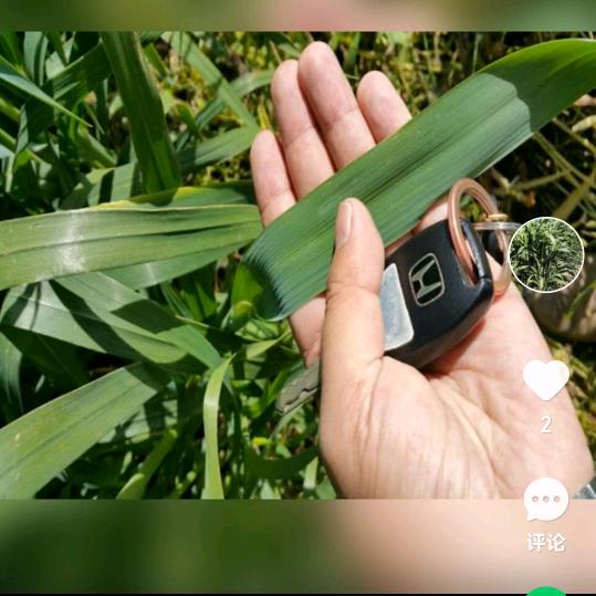 骑着毛驴闯天下