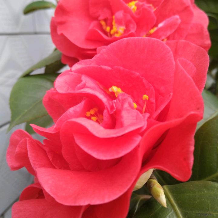 用户8066861308567