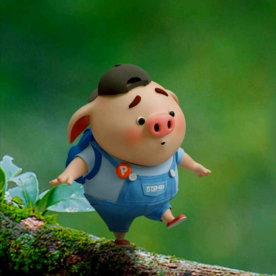 拾忆小胖