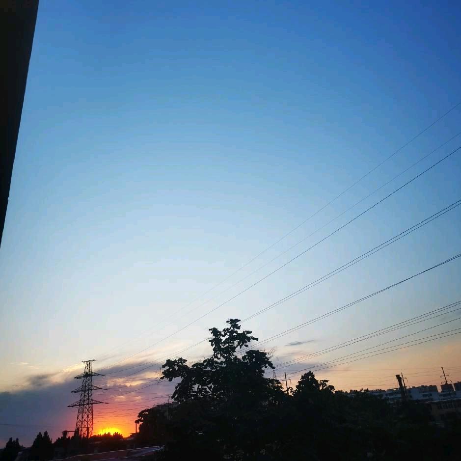 “飞翔的丸子”