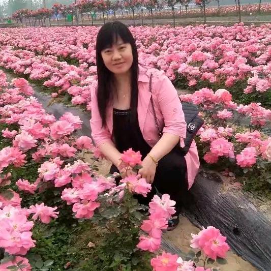 如意优选