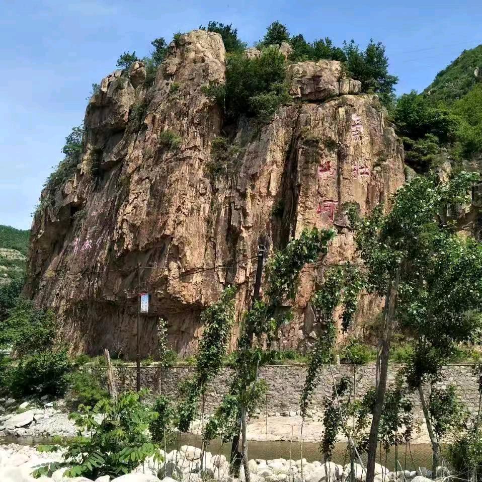 天津浩海水族器材