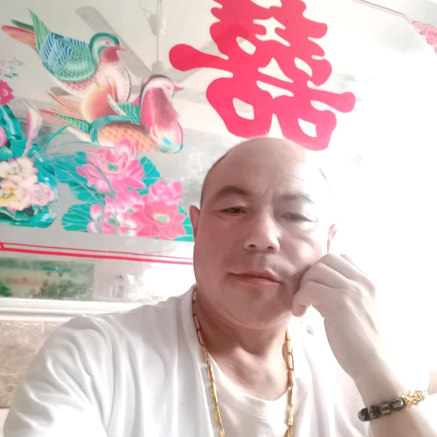 半点心