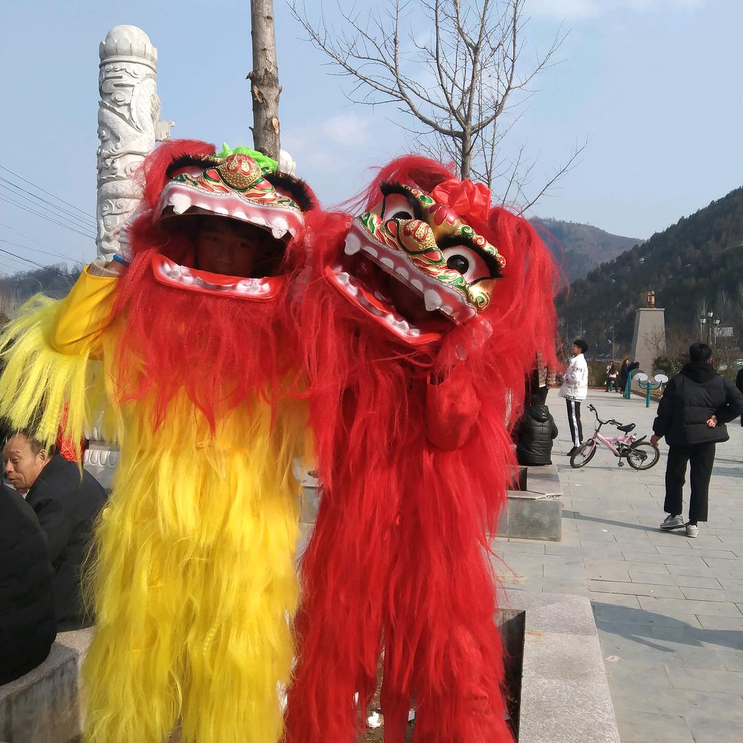 赵哥