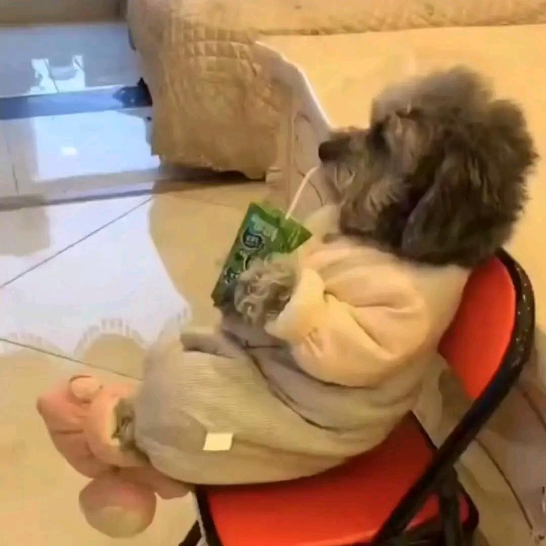 小韭菜(ಡωಡ)hiahiahia