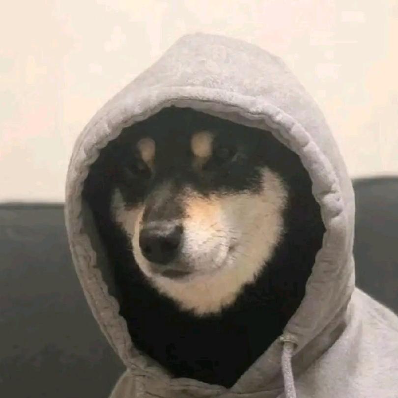 L    Z