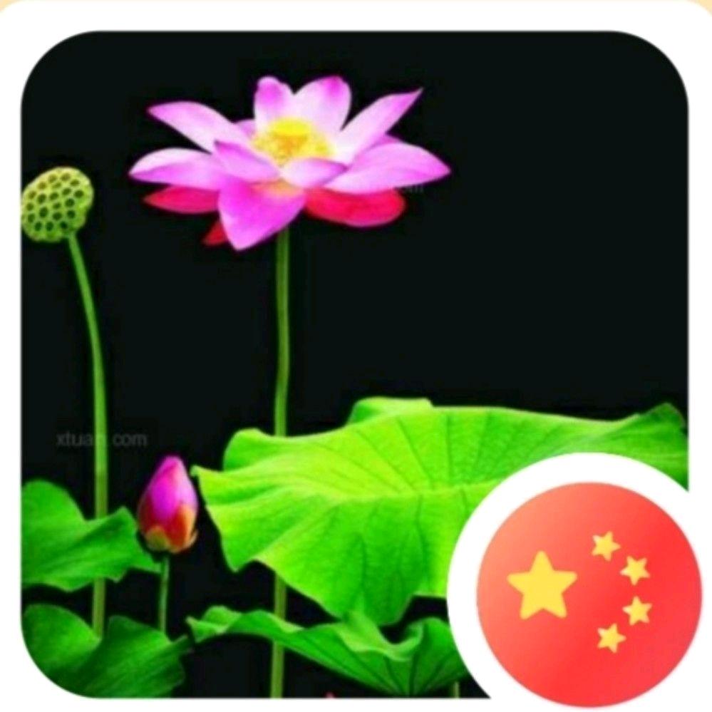阿文