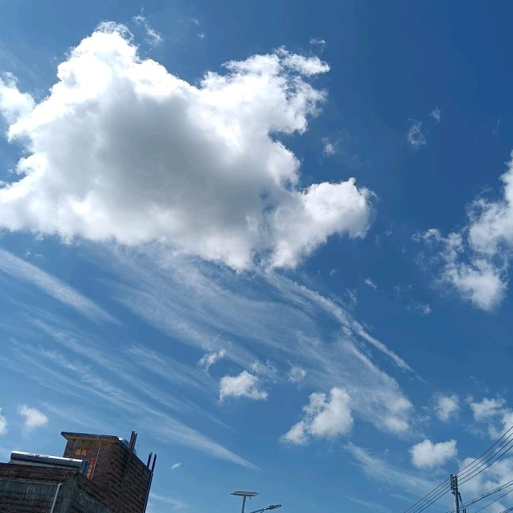 在佛山做二手车的小莫。