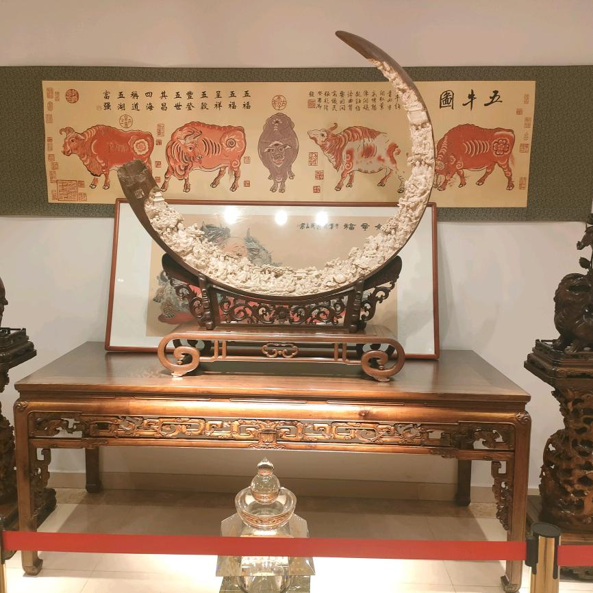购房专家